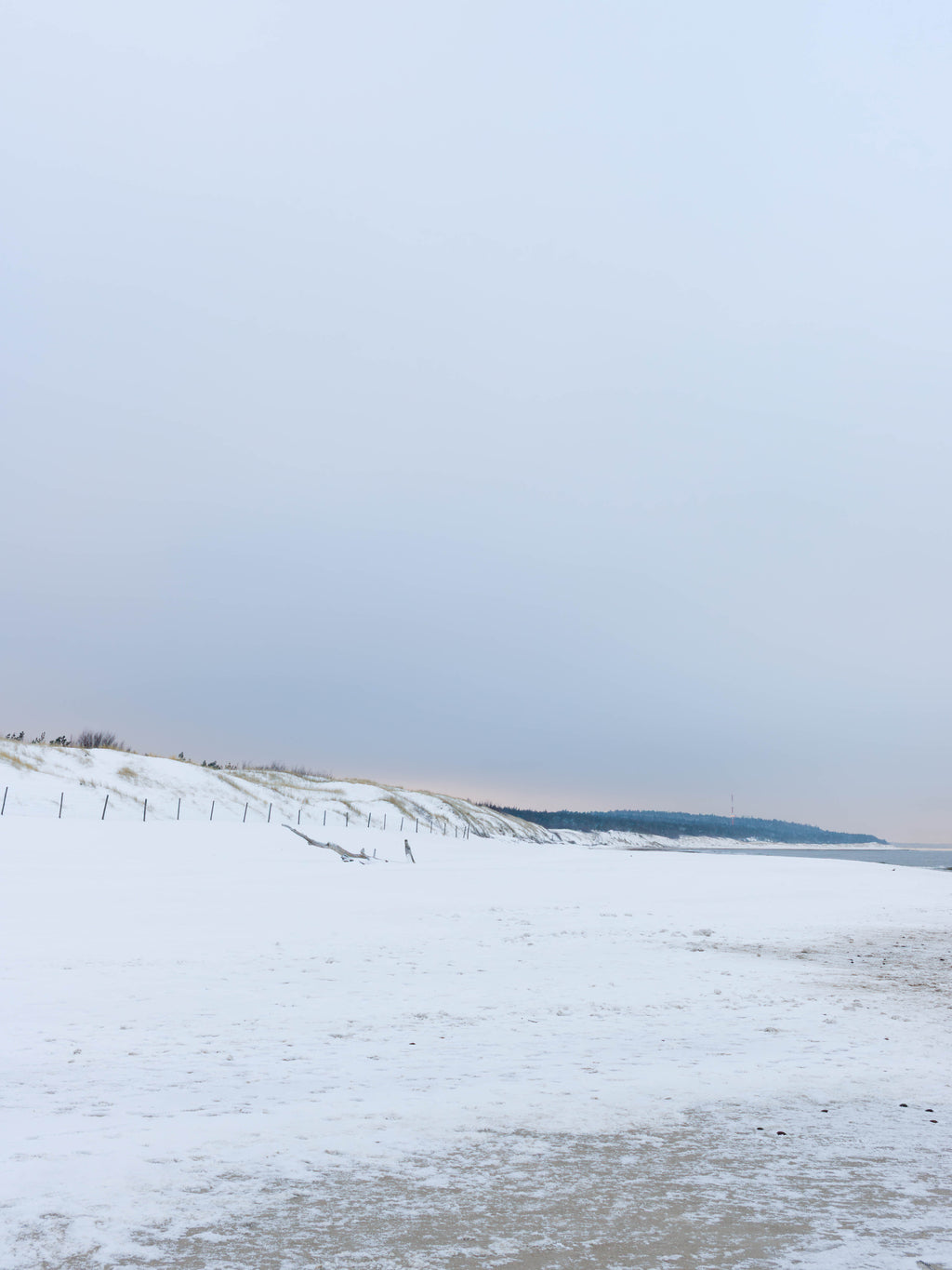 Plakat Nadmorski – Ośnieżone Wydmy i Plaża