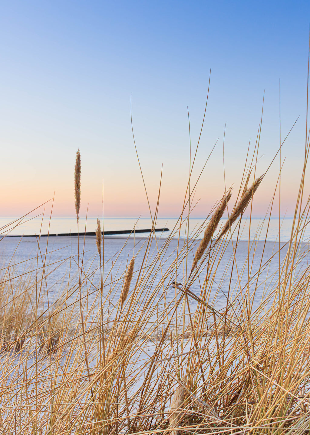 Plakat Nadmorski – Trawy Wydmowe i Falochron